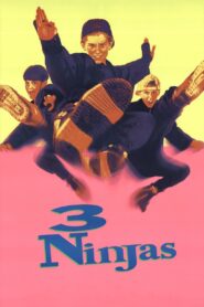 3 Ninjas Full Movie 1992 (720p & 1080p)